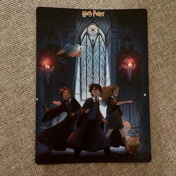 Harry Potter Hermione Magnet - Picture 2 of 4